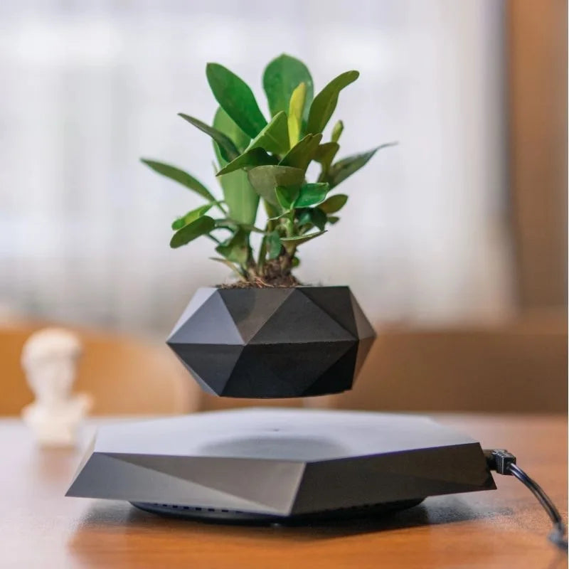 Magnetic Levitating Bonsai Pot Mini Plants
