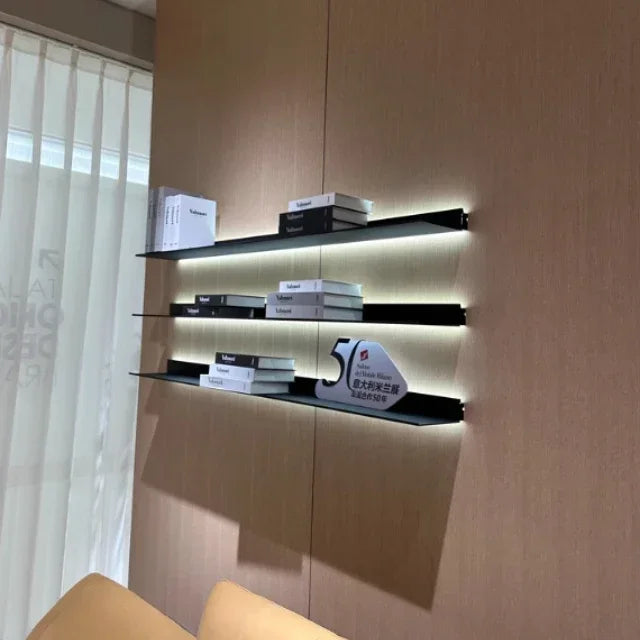 Wall Mounted Led Wall Shelf Product/Bookcase display