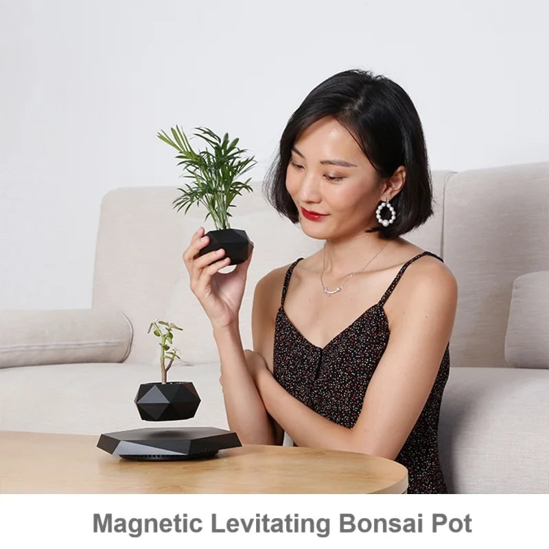 Magnetic Levitating Bonsai Pot Mini Plants