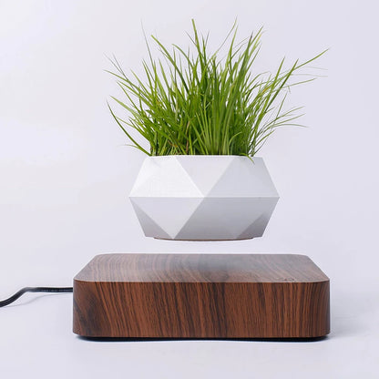Magnetic Levitating Bonsai Pot Mini Plants