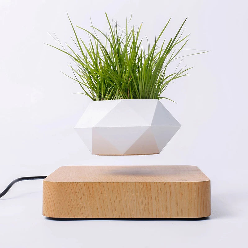 Magnetic Levitating Bonsai Pot Mini Plants