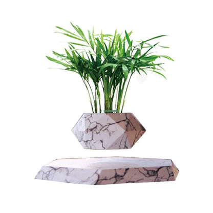 Magnetic Levitating Bonsai Pot Mini Plants