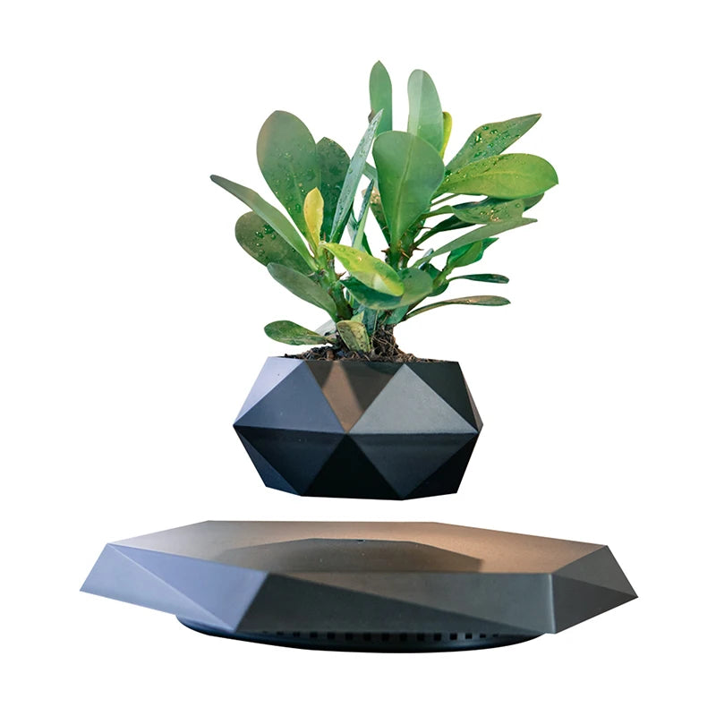 Magnetic Levitating Bonsai Pot Mini Plants