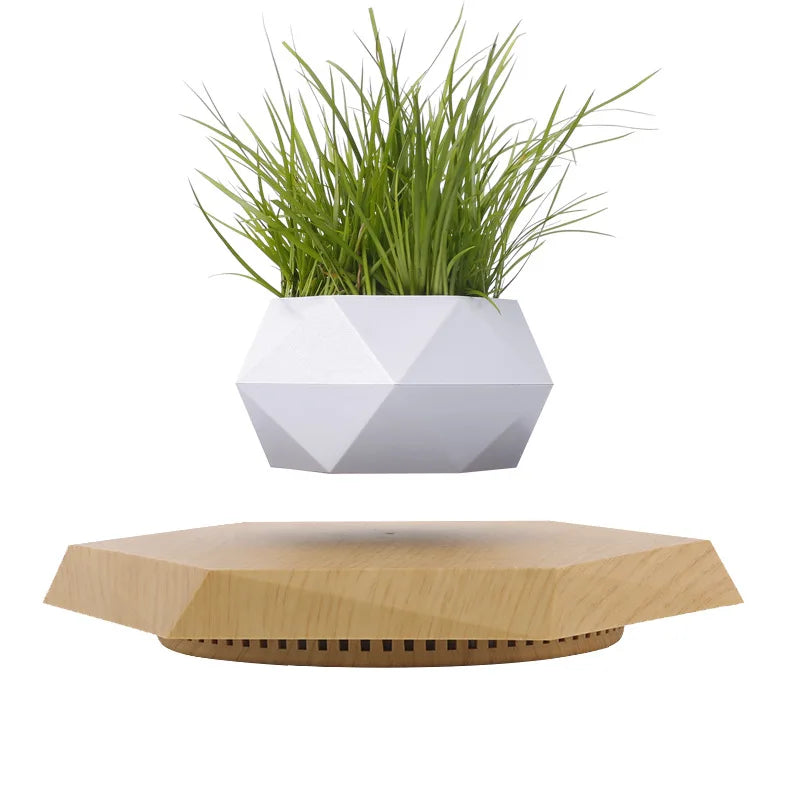 Magnetic Levitating Bonsai Pot Mini Plants
