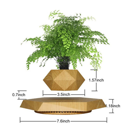 Magnetic Levitating Bonsai Pot Mini Plants