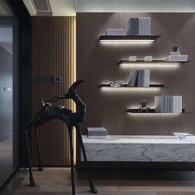 Wall Mounted Led Wall Shelf Product/Bookcase display