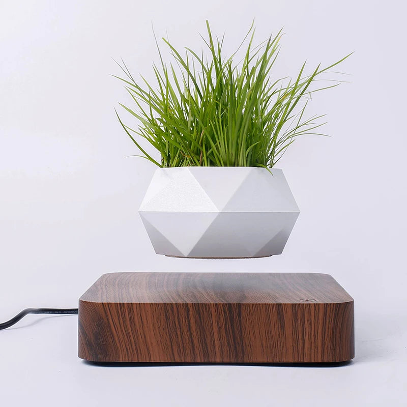 Magnetic Levitating Bonsai Pot Mini Plants