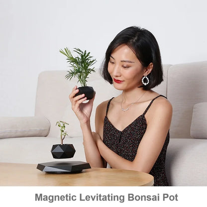 Magnetic Levitating Bonsai Pot Mini Plants